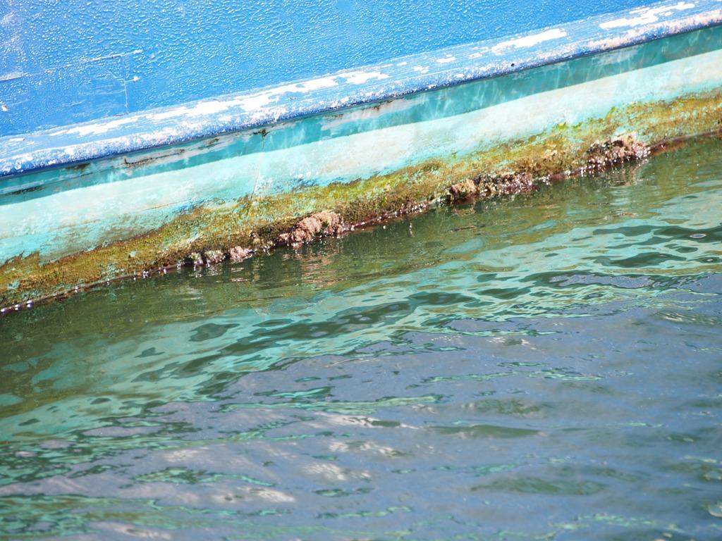 Boat hulls with growth on them will usualy hold a bream or two © Gary Brown